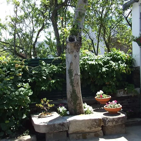 Obradoiro * 사리아루고