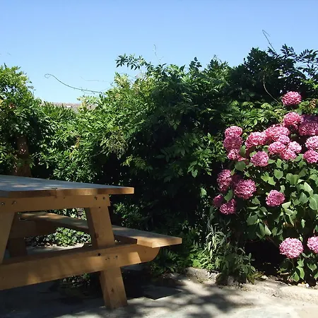 Obradoiro 사리아루고