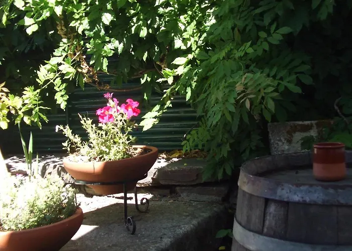 Хостел Obradoiro *